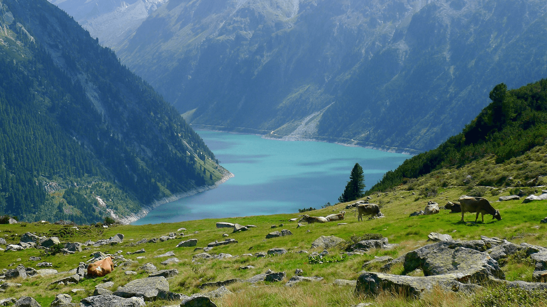 Reiseziel Bergwelt des Zillertals – Das musst Du sehen!