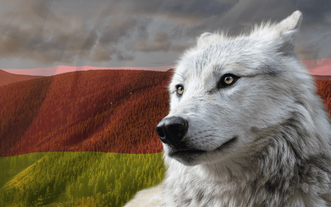 5 Tiere die in Deutschland leben – Das musst Du wissen!