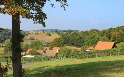 Reiseziel Uhudler-Weinstraße – Das musst Du sehen!