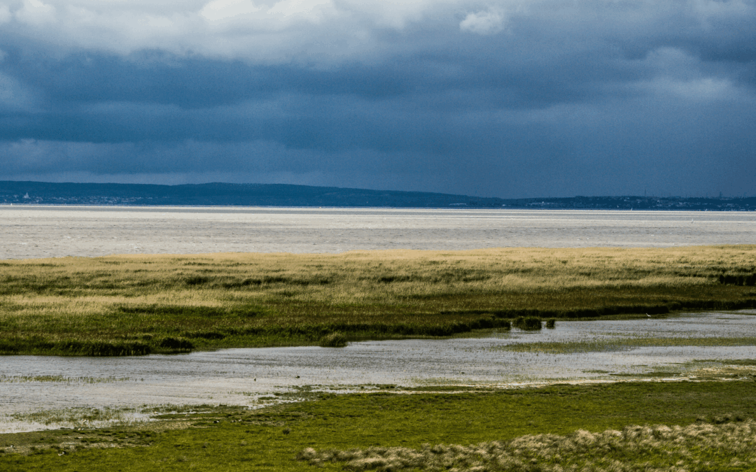 Reiseziel Nationalpark Neusiedler See – Seewinkel – Das musst Du sehen!