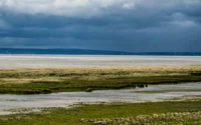 Reiseziel Nationalpark Neusiedler See – Seewinkel – Das musst Du sehen!