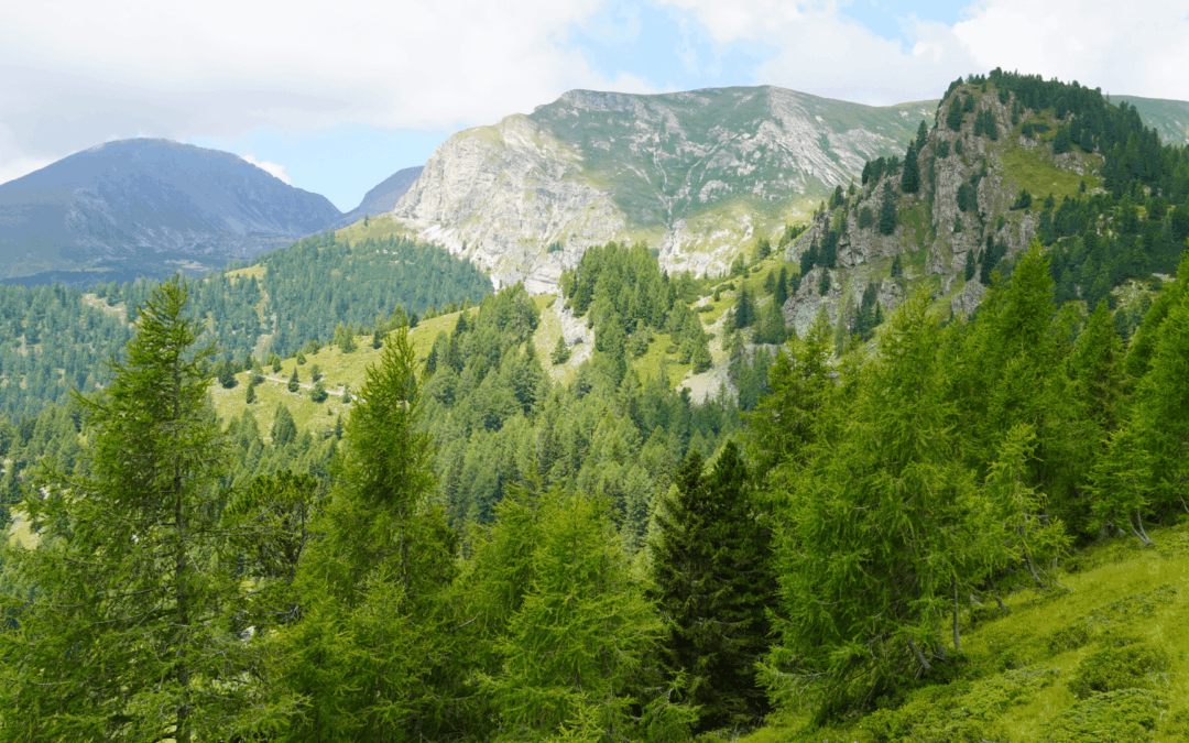 Reiseziel Nockberge Nationalpark – Das musst Du sehen!