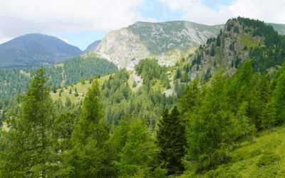 Reiseziel Nockberge Nationalpark – Das musst Du sehen!