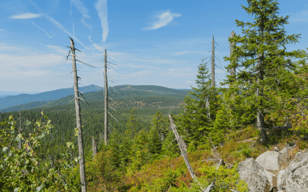 5 sehenswerte Reiseziele in Niederbayern – Natur, Kultur und Erholung entdecken
