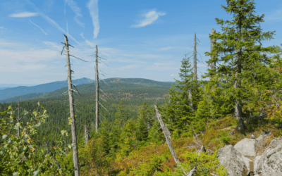 5 sehenswerte Reiseziele in Niederbayern – Natur, Kultur und Erholung entdecken